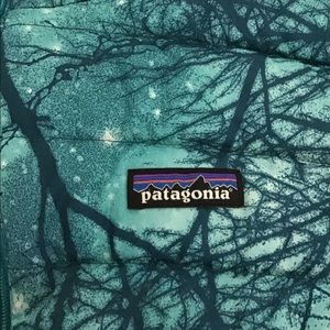 ✨Patagonia Puff Jacket!
